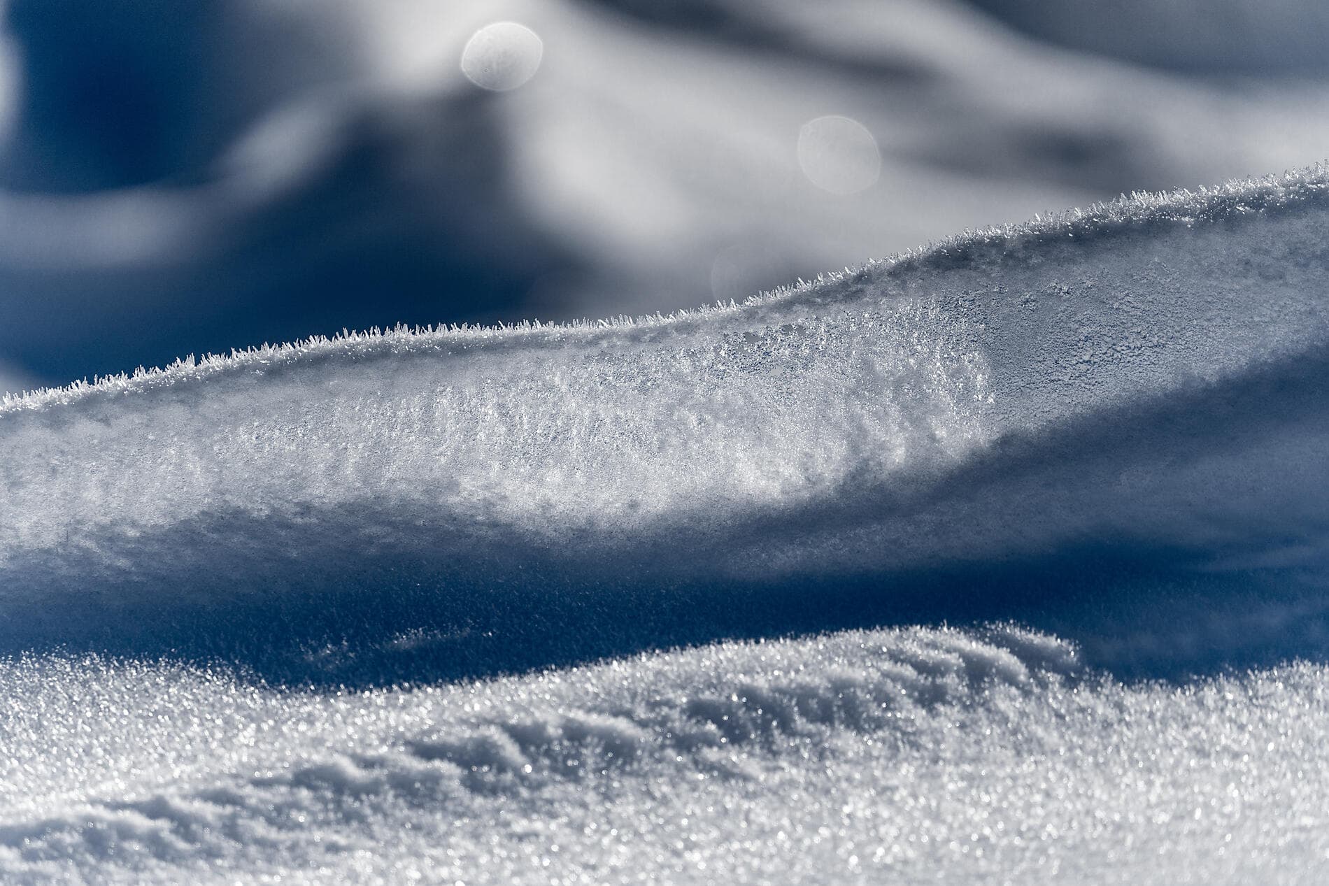 Le pôle Nord géographique 