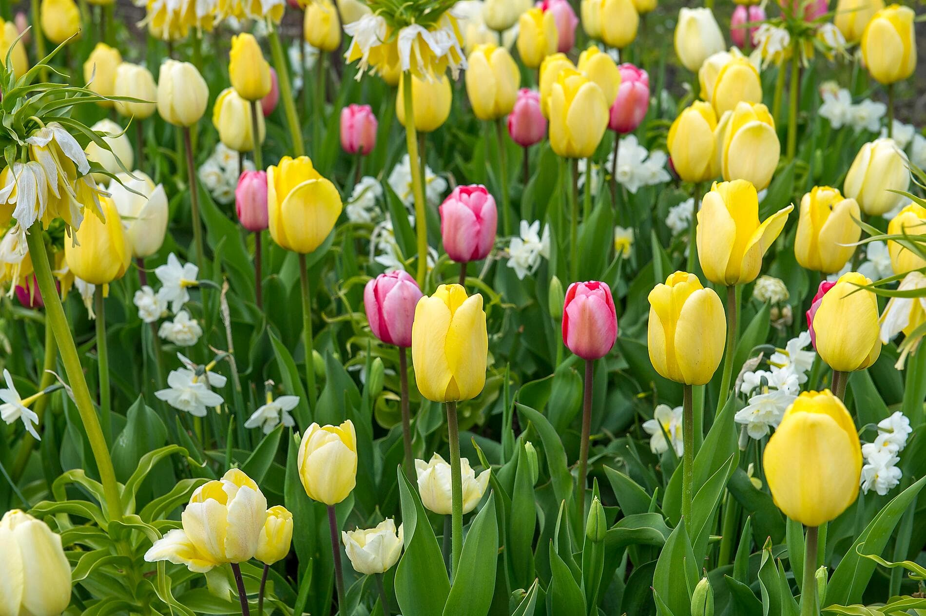 Capitales et villes emblématiques de la Baltique 