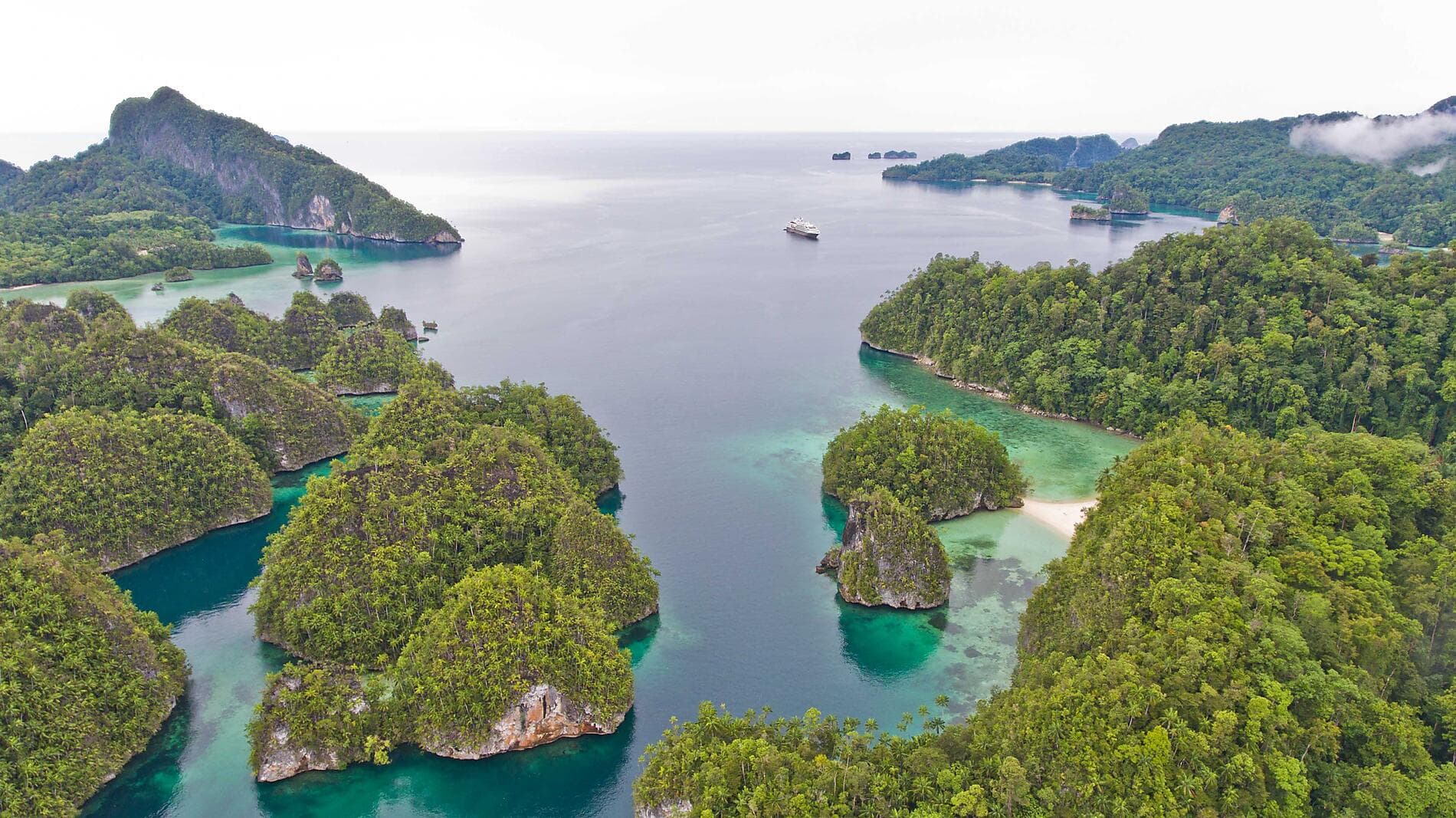 Trésors insulaires d'Indonésie et du Timor Oriental 