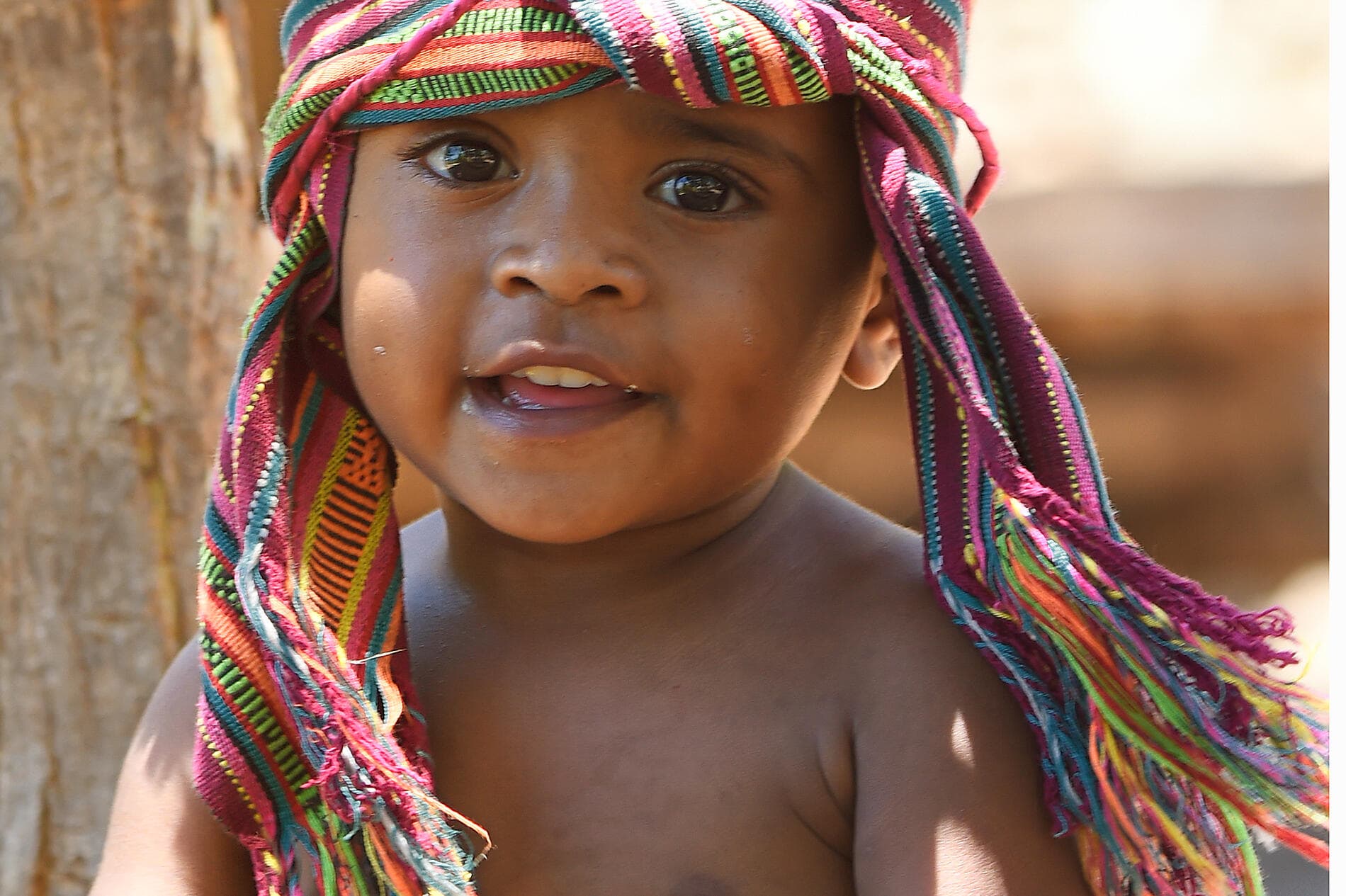 Trésors insulaires d'Indonésie et du Timor Oriental 