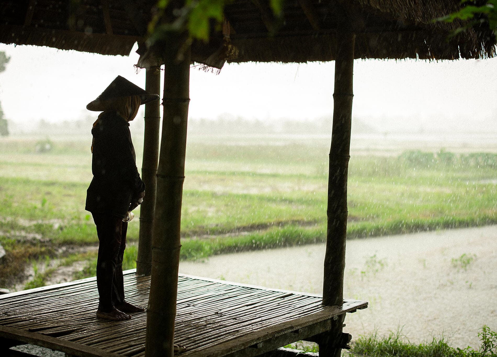 Trésors insulaires d'Indonésie et du Timor Oriental 