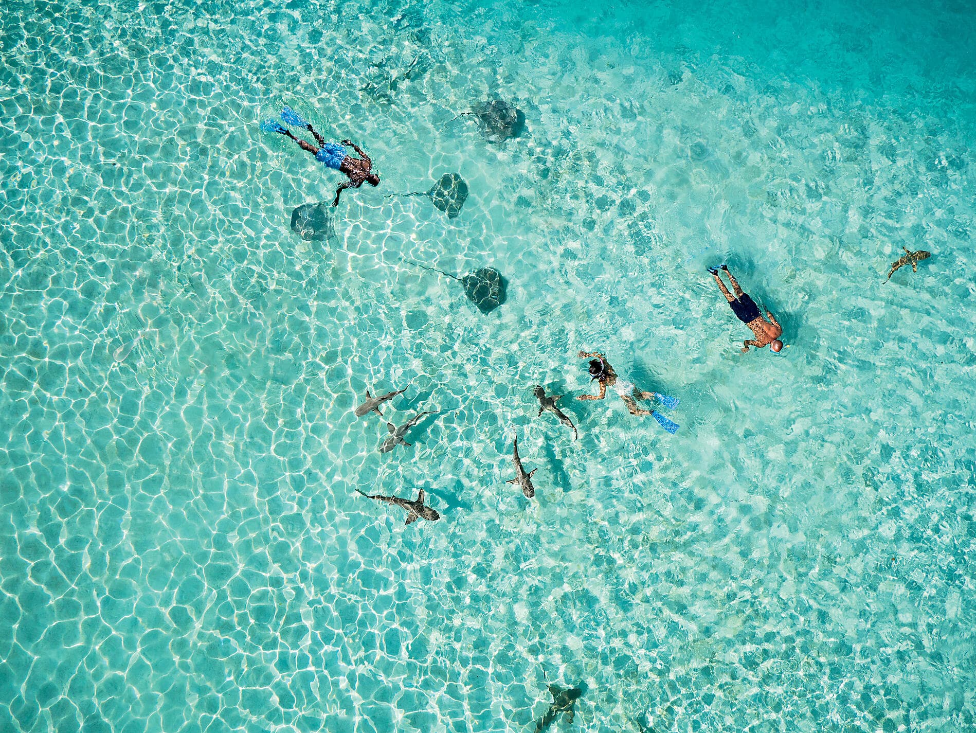 Polynésie secrète : des îles de la Société aux îles Australes  