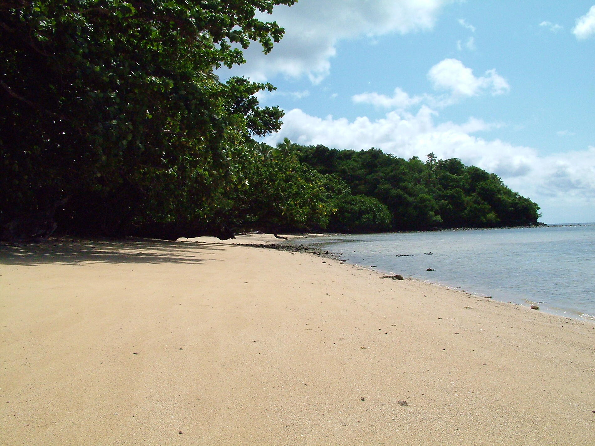 Beach_on_Beqa_Island_Commons Wikimedia.jpg