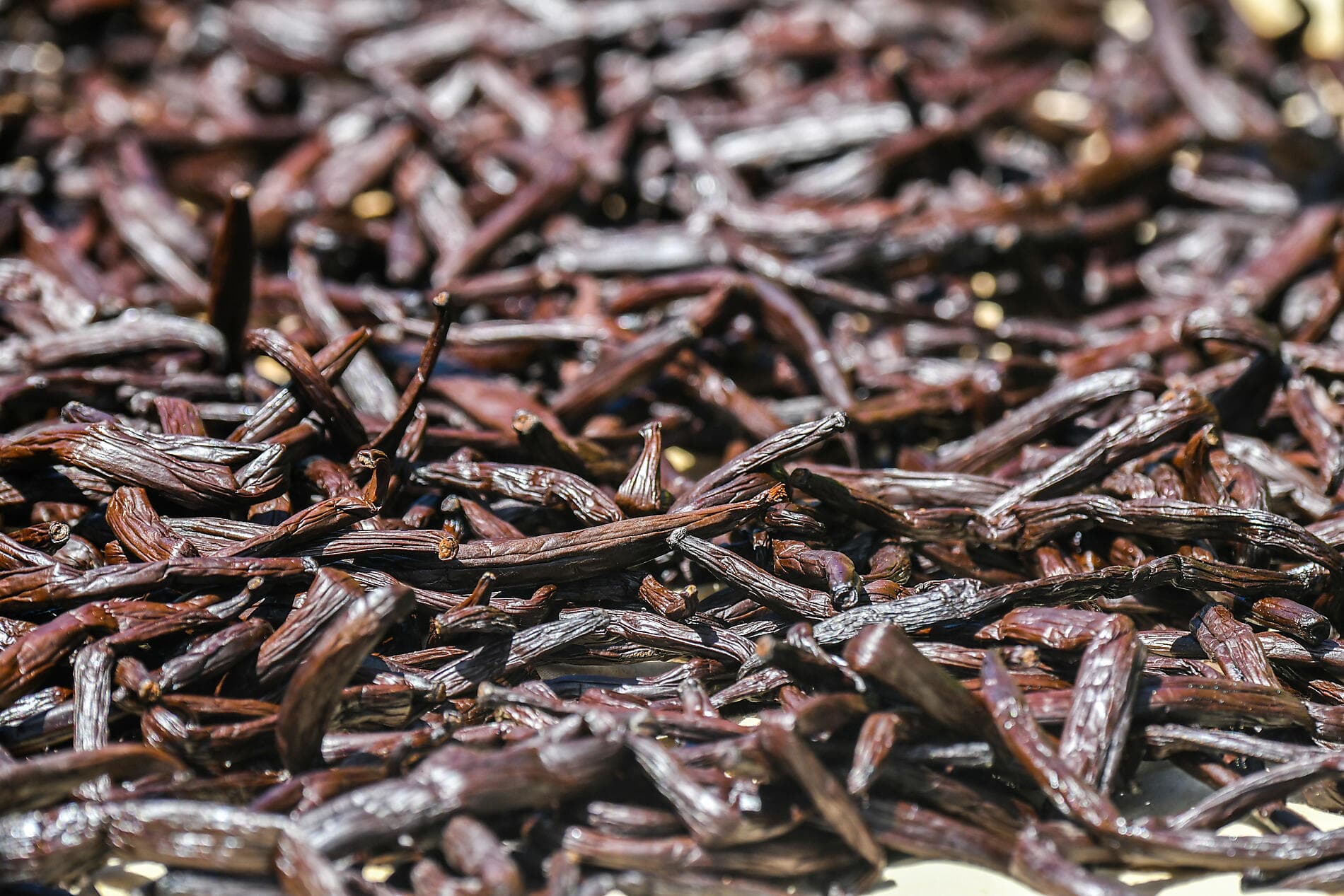 Perles des îles de la Société